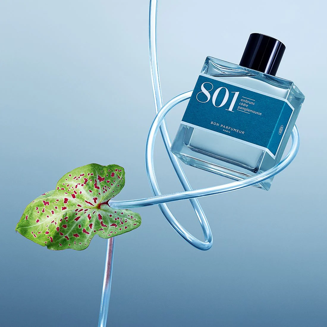 Eau de parfum 801 EN - Image 4